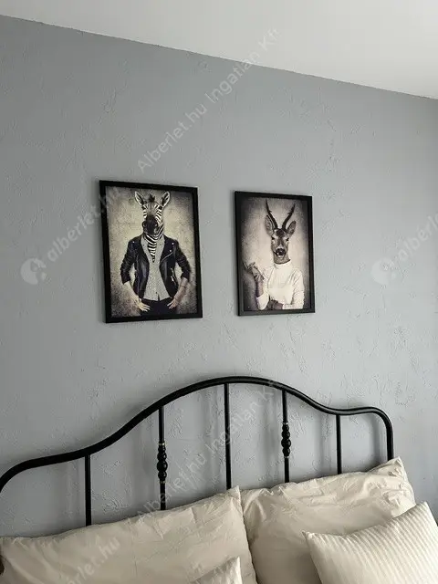 Kiadó albérlet 340000 Ft/hó áron: Budapest, VI. kerület  Csengery utca. Mérete: 42 nm, 2 szobás | Alberlet.hu - 6631648