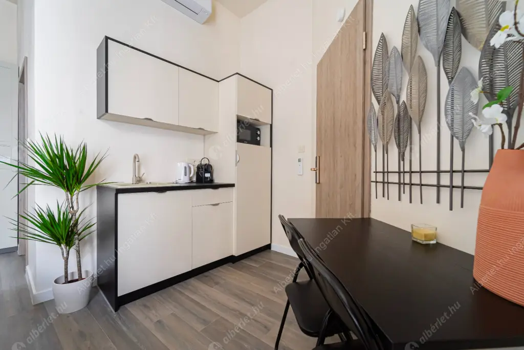 Kiadó albérlet 250000 Ft/hó áron: Budapest, VI. kerület  Dessewffy utca. Mérete: 28 nm, 1 szobás | Alberlet.hu - 6603996