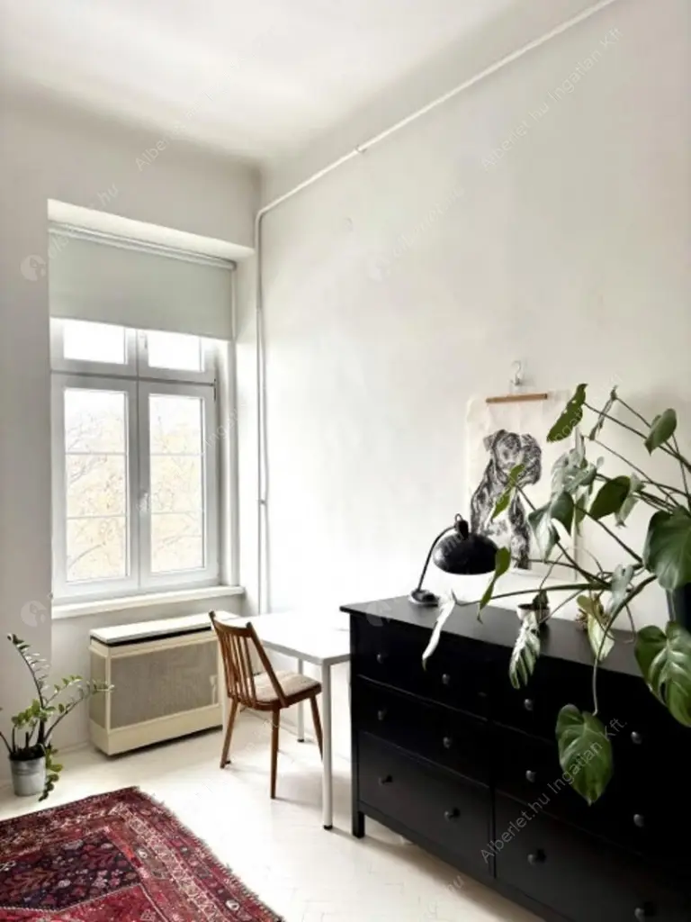 Kiadó albérlet 230000 Ft/hó áron: Budapest, VI. kerület  Hunyadi tér. Mérete: 37 nm, 1 szobás | Alberlet.hu - 6633346