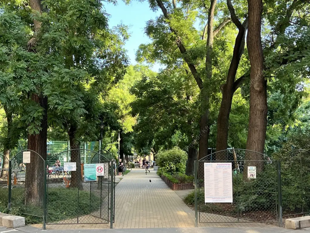 Kiadó albérlet 400000 Ft/hó áron: Budapest, VI. kerület  Hunyadi tér. Mérete: 75 nm, 3 szobás | Alberlet.hu - 6636935