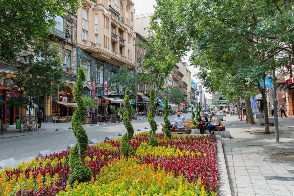 Kiadó albérlet 300000 Ft/hó áron: Budapest, VI. kerület  Király utca. Mérete: 60 nm, 2 szobás | Alberlet.hu - 6591792