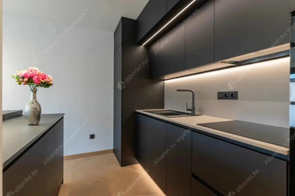 Kiadó albérlet 692000 Ft/hó áron: Budapest, VI. kerület  Király utca. Mérete: 67 nm, 2 szobás | Alberlet.hu - 6574848