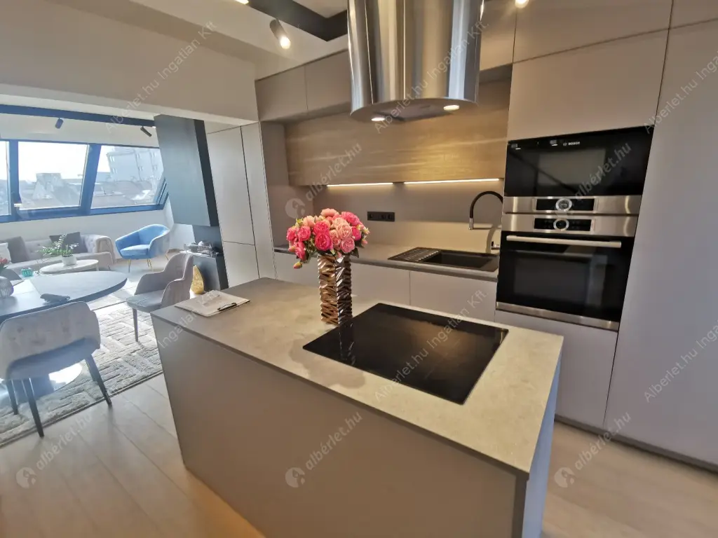 Kiadó albérlet 1004000 Ft/hó áron: Budapest, VI. kerület  Király utca. Mérete: 85 nm, 3 szobás | Alberlet.hu - 6517338