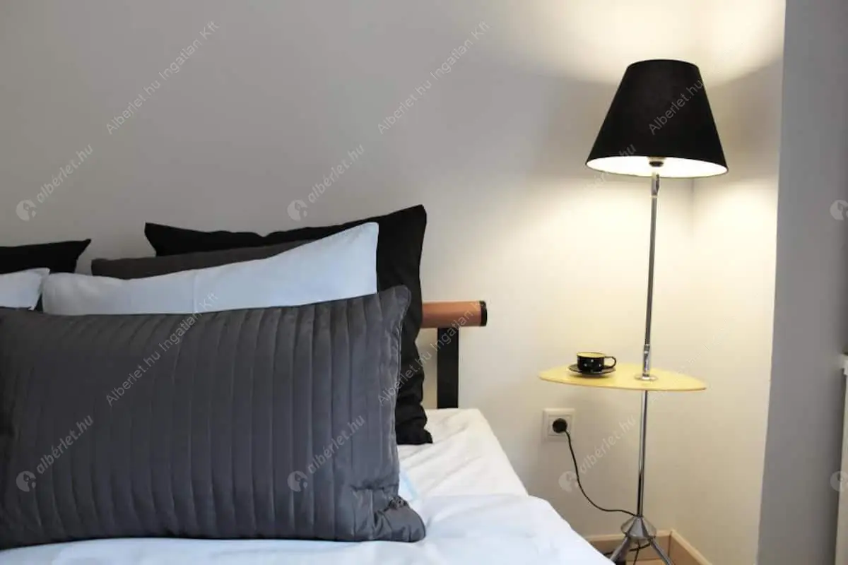 Kiadó albérlet 386000 Ft/hó áron: Budapest, VI. kerület  Liszt Ferenc tér. Mérete: 67 nm, 2 szobás | Alberlet.hu - 5478325