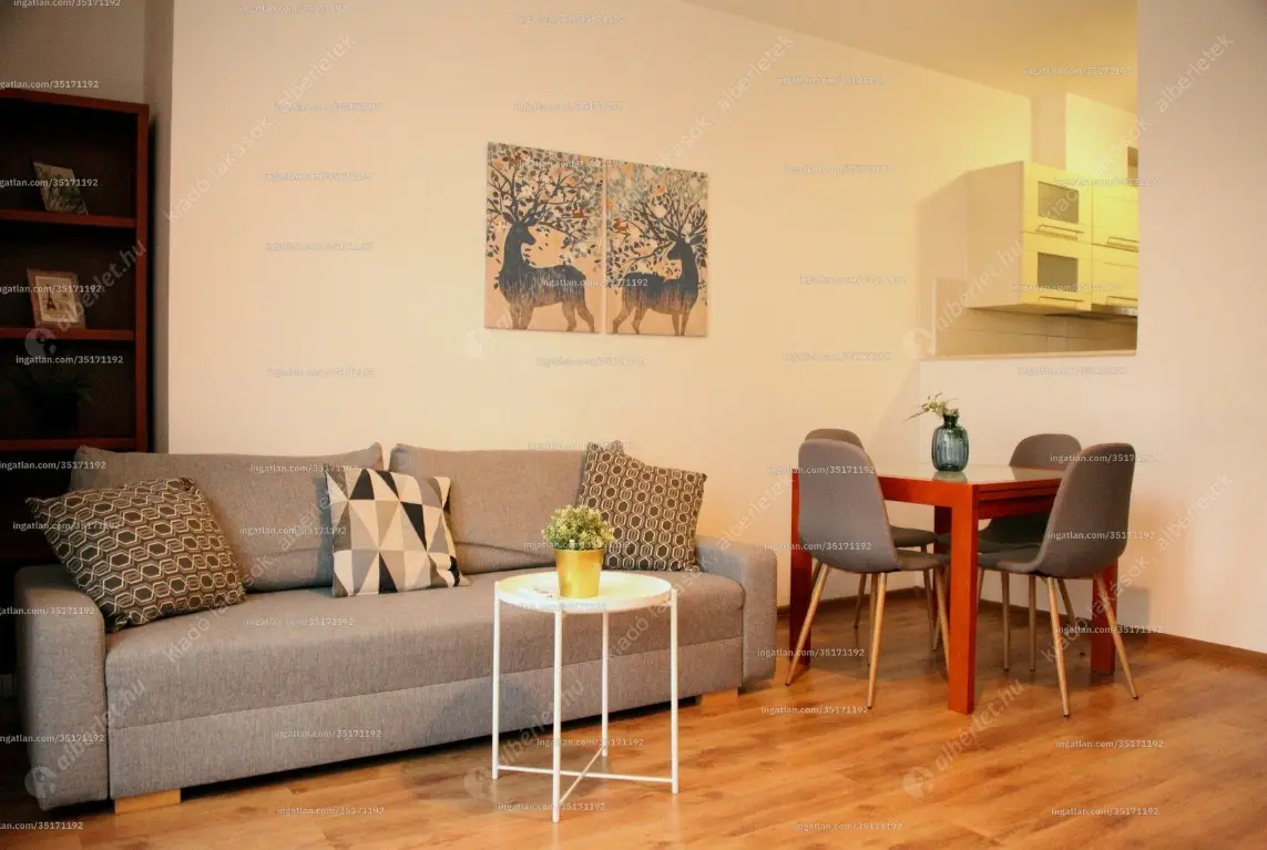 Kiadó albérlet 270000 Ft/hó áron: Budapest, VI. kerület  Lovag utca. Mérete: 50 nm, 1 szobás | Alberlet.hu - 6632531