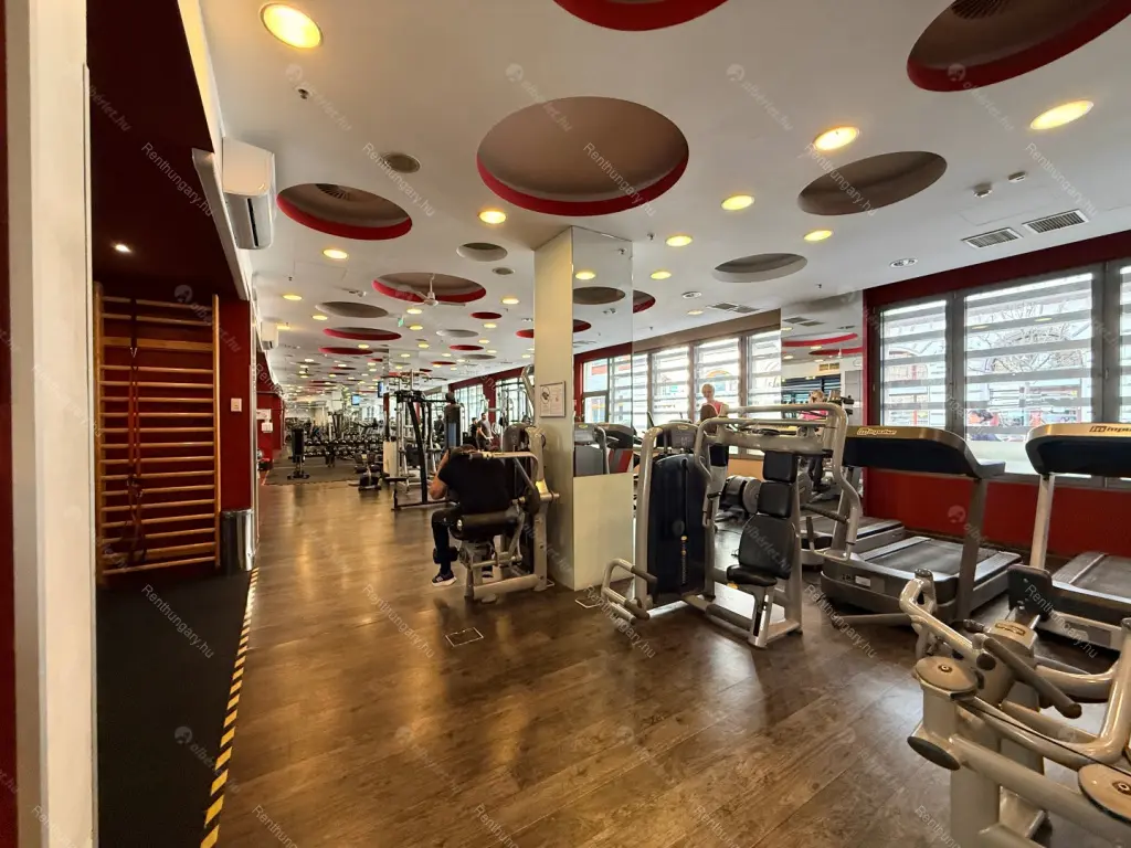 Kiadó albérlet 269000 Ft/hó áron: Budapest, VI. kerület  Ó utca. Mérete: 43 nm, 2 szobás | Alberlet.hu - 6673316