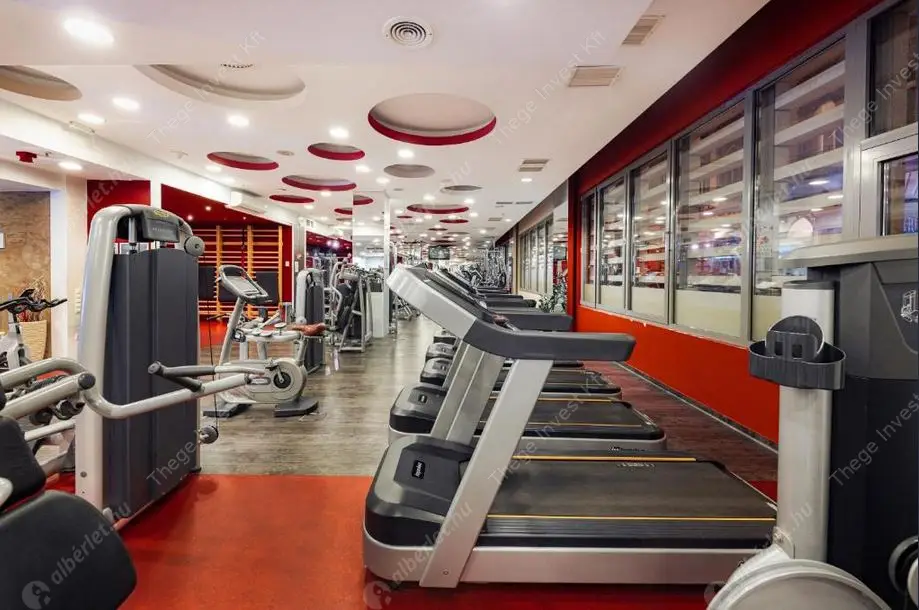 Kiadó albérlet 400000 Ft/hó áron: Budapest, VI. kerület  Ó utca. Mérete: 65 nm, 2 szobás | Alberlet.hu - 6498239