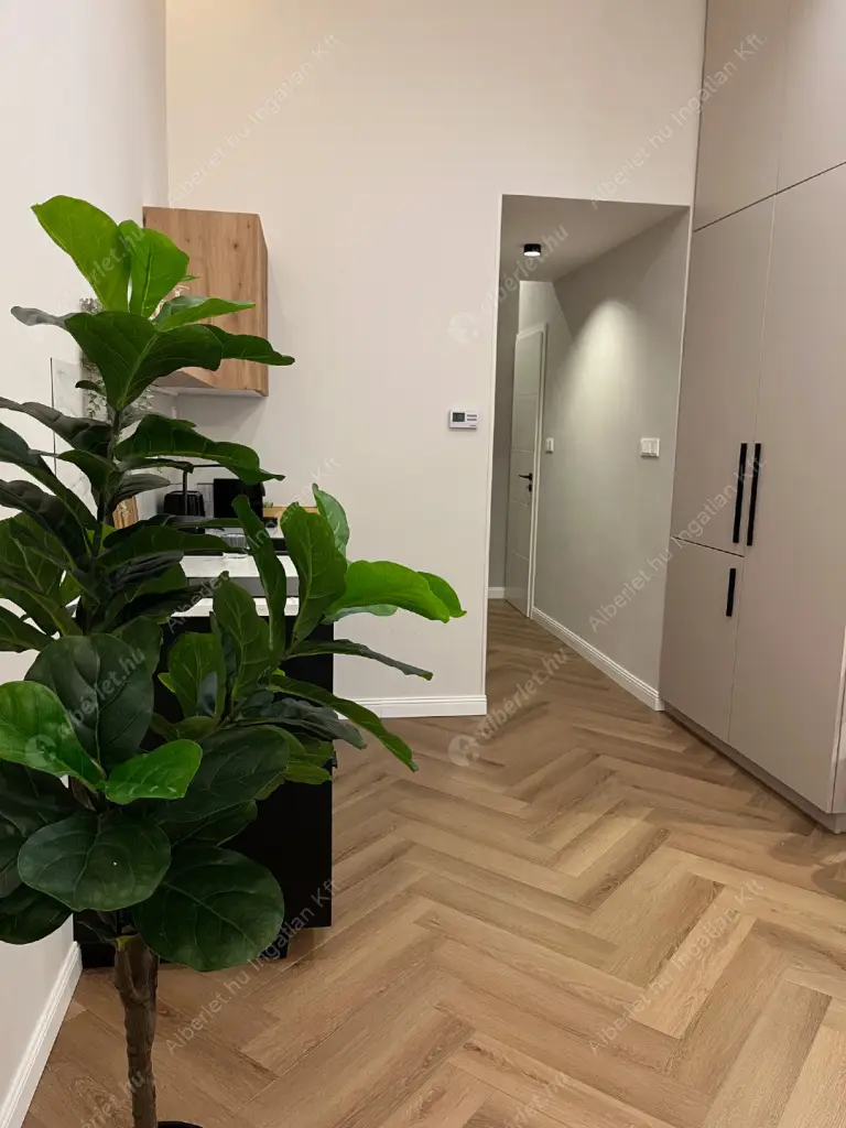 Kiadó albérlet 280000 Ft/hó áron: Budapest, VI. kerület  Paulay Ede utca. Mérete: 32 nm, 1 szobás | Alberlet.hu - 6605726