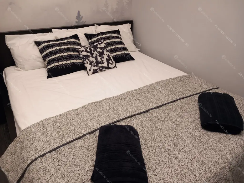 Kiadó albérlet 350000 Ft/hó áron: Budapest, VI. kerület  Paulay Ede utca. Mérete: 38 nm, 1 szobás | Alberlet.hu - 6660609