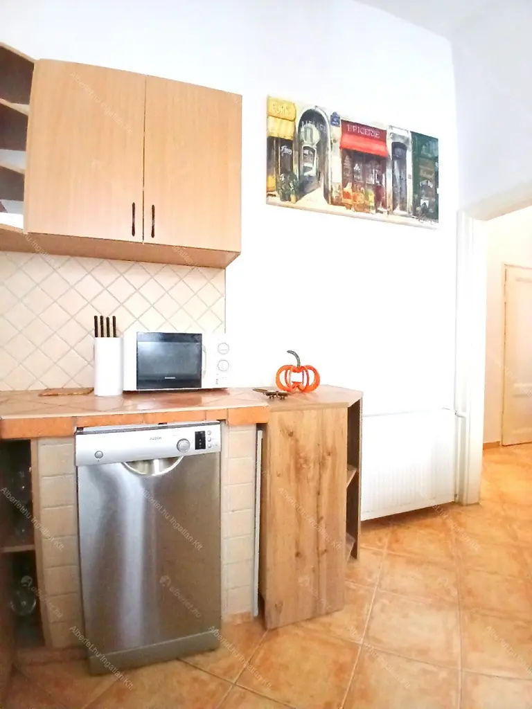 Kiadó albérlet 250000 Ft/hó áron: Budapest, VI. kerület  Paulay Ede utca. Mérete: 49 nm, 1 szobás | Alberlet.hu - 6644359