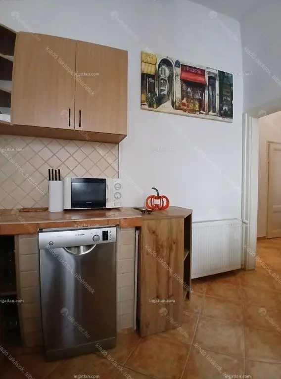 Kiadó albérlet 250000 Ft/hó áron: Budapest, VI. kerület  Paulay Ede utca. Mérete: 49 nm, 1 szobás | Alberlet.hu - 6647690