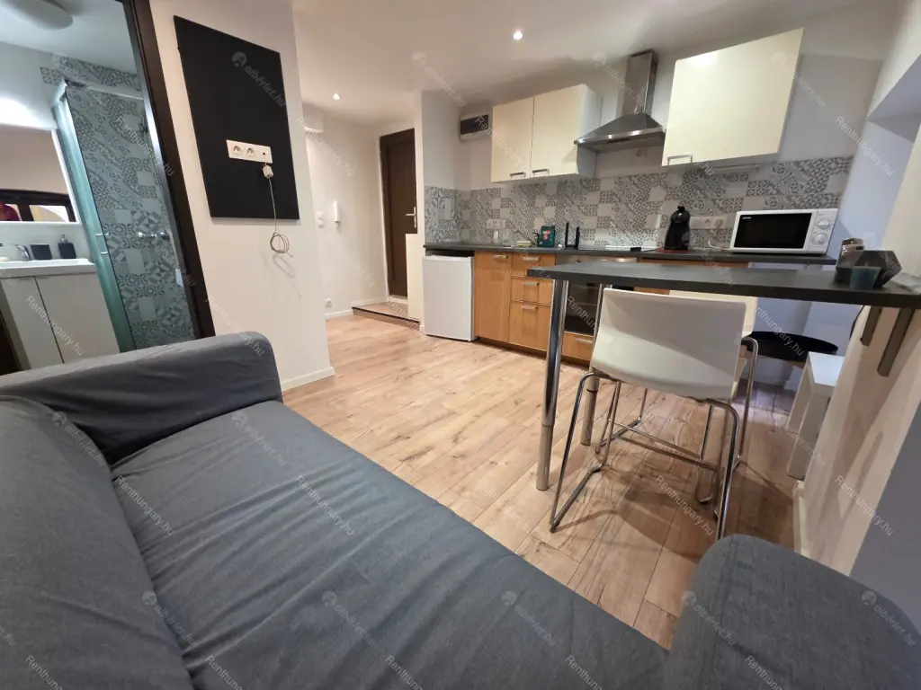 Kiadó albérlet 190000 Ft/hó áron: Budapest, VI. kerület  Rózsa utca. Mérete: 27 nm, 1 szobás | Alberlet.hu - 6670648