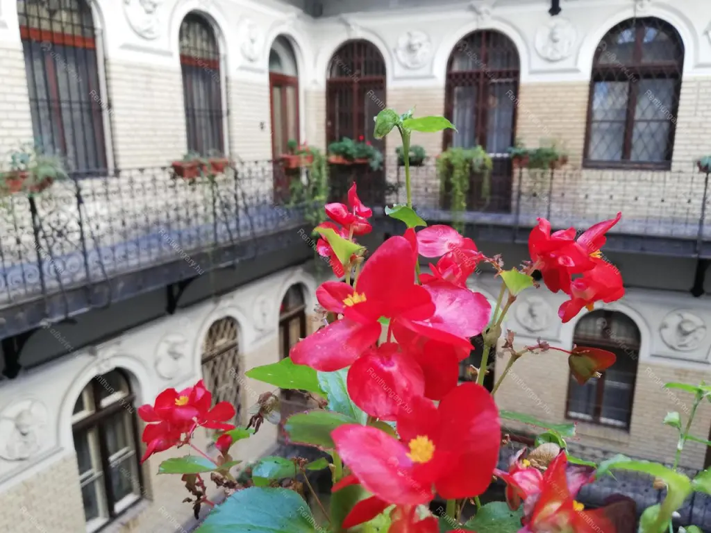 Kiadó albérlet 250000 Ft/hó áron: Budapest, VI. kerület  Zichy Jenő utca. Mérete: 34 nm, 2 szobás | Alberlet.hu - 6669228