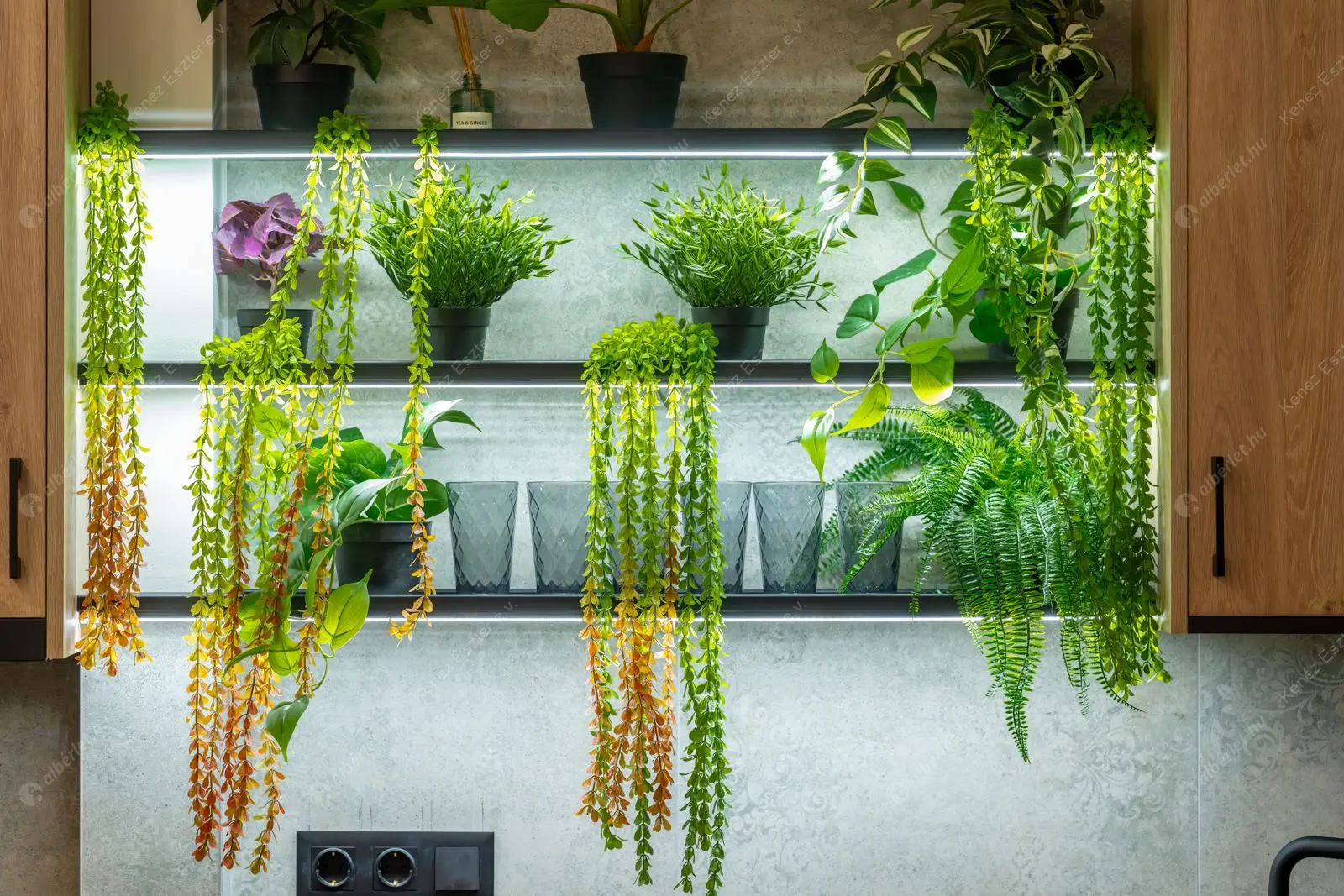 Kiadó albérlet 276000 Ft/hó áron: Budapest, VII. kerület  Akácfa utca. Mérete: 42 nm, 1 szobás | Alberlet.hu - 6552797