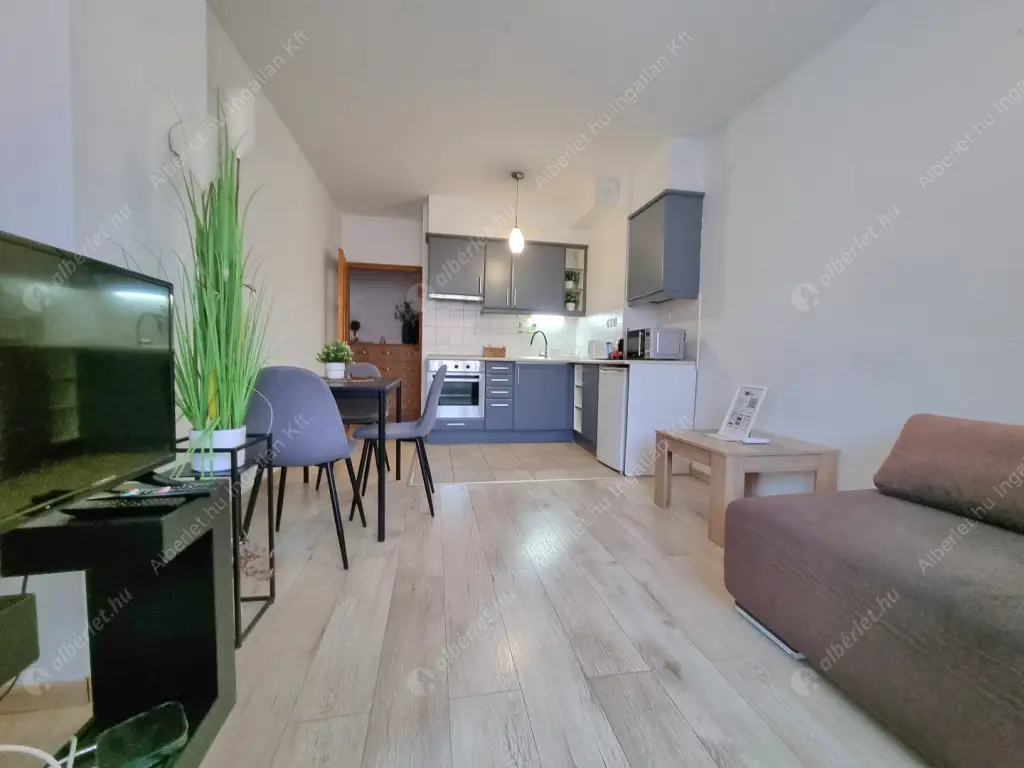 Kiadó albérlet 250000 Ft/hó áron: Budapest, VII. kerület  Akácfa utca. Mérete: 48 nm, 2 szobás | Alberlet.hu - 6583847