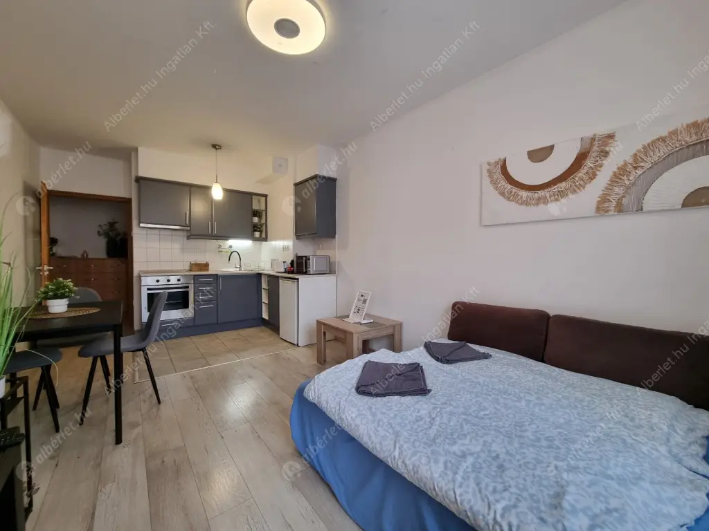 Kiadó albérlet 250000 Ft/hó áron: Budapest, VII. kerület  Akácfa utca. Mérete: 48 nm, 2 szobás | Alberlet.hu - 6583854