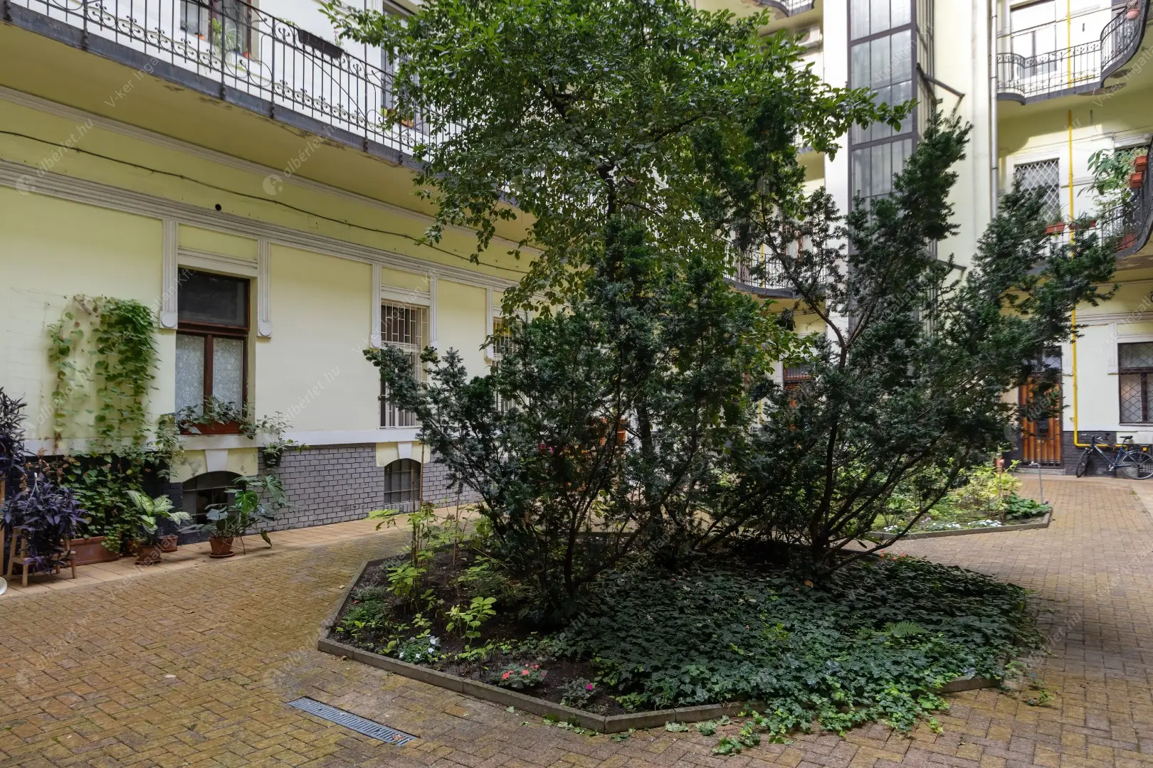 Kiadó albérlet 210000 Ft/hó áron: Budapest, VII. kerület  Alsó erdősor utca. Mérete: 50 nm, 1 szobás | Alberlet.hu - 6536566