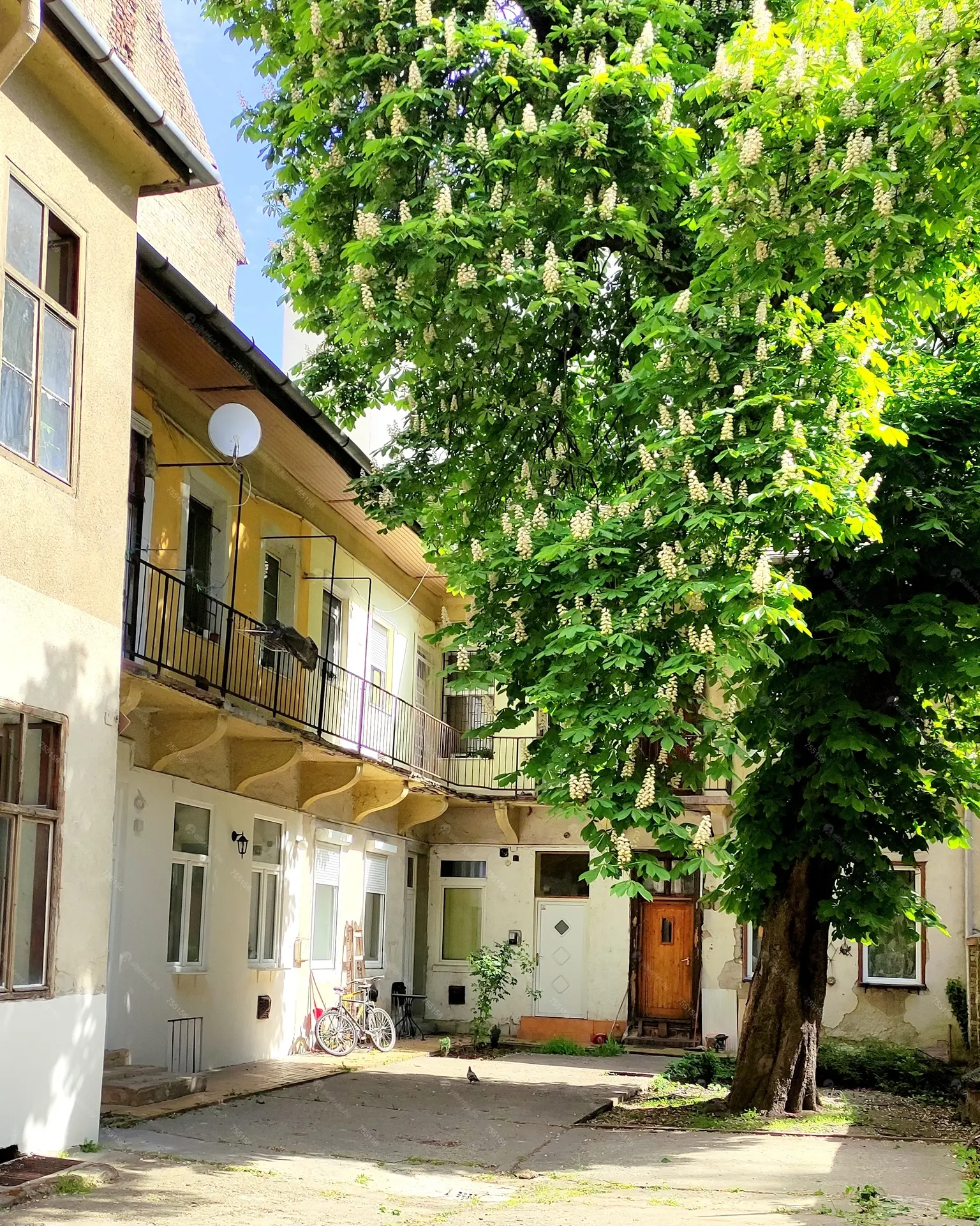 Kiadó albérlet 195000 Ft/hó áron: Budapest, VII. kerület  Cserhát utca. Mérete: 45 nm, 1 szobás | Alberlet.hu - 6363951