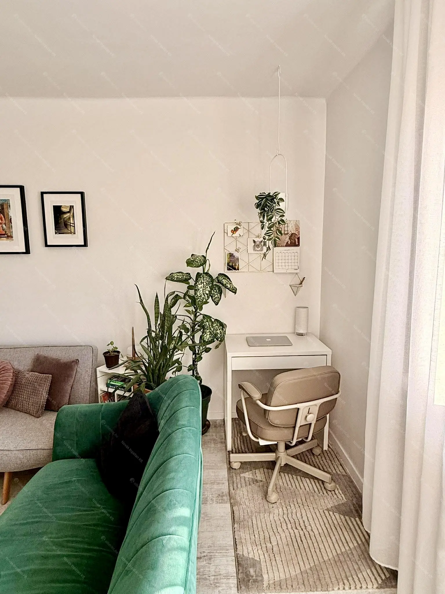 Kiadó albérlet 350000 Ft/hó áron: Budapest, VII. kerület  Damjanich utca. Mérete: 44 nm, 2 szobás | Alberlet.hu - 6659118