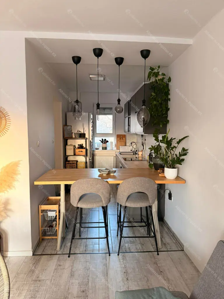 Kiadó albérlet 350000 Ft/hó áron: Budapest, VII. kerület  Damjanich utca. Mérete: 44 nm, 2 szobás | Alberlet.hu - 6659508