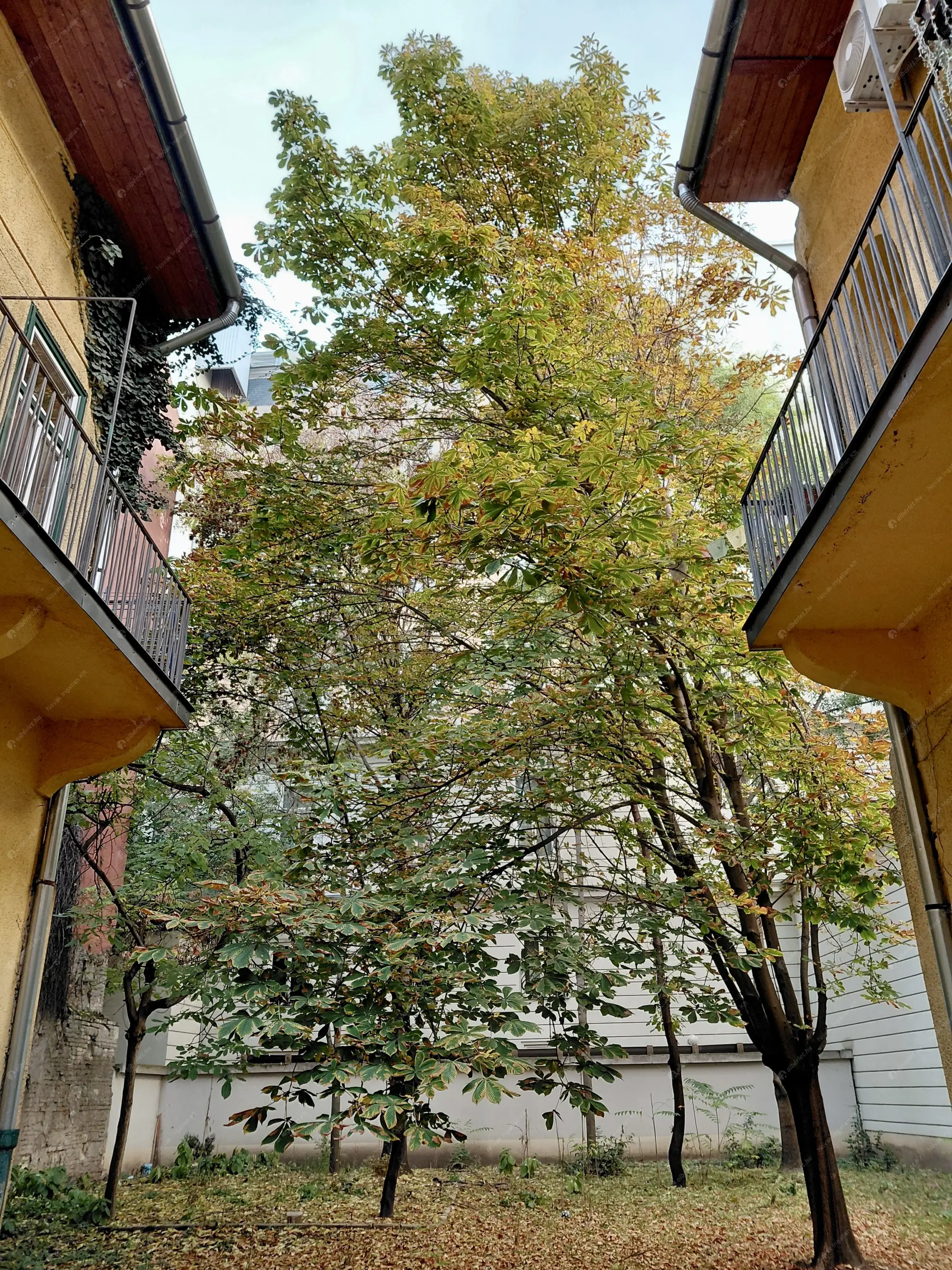 Kiadó albérlet 230000 Ft/hó áron: Budapest, VII. kerület  Dob utca. Mérete: 41 nm, 1 szobás | Alberlet.hu - 6568725