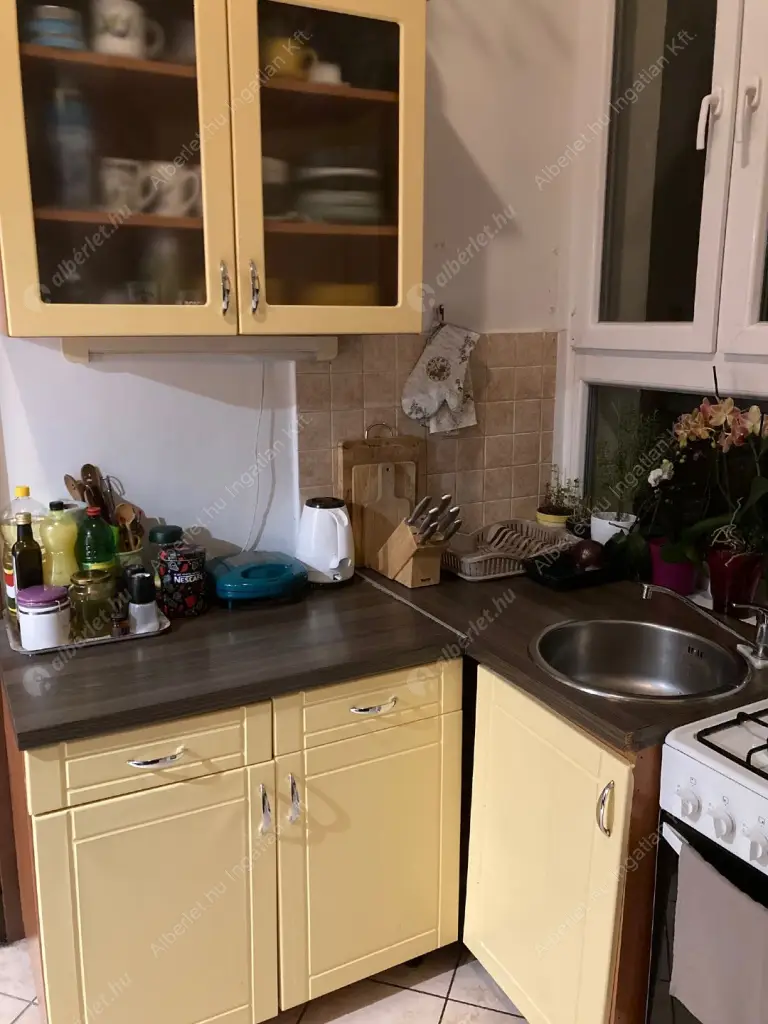 Kiadó albérlet 230000 Ft/hó áron: Budapest, VII. kerület  Dob utca. Mérete: 42 nm, 1 szobás | Alberlet.hu - 6595233