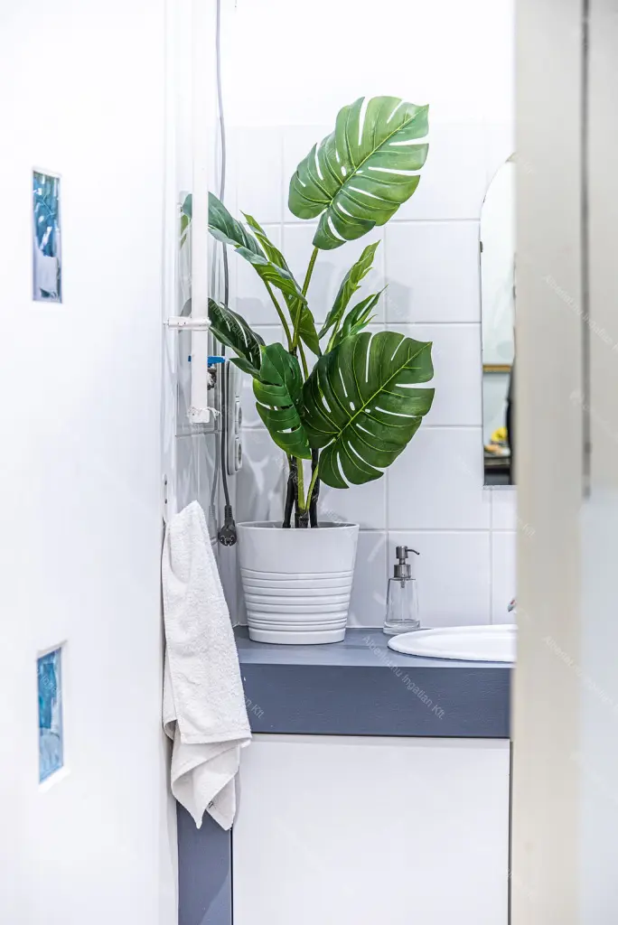 Kiadó albérlet 250000 Ft/hó áron: Budapest, VII. kerület  Dohány utca. Mérete: 46 nm, 2 szobás | Alberlet.hu - 6703045