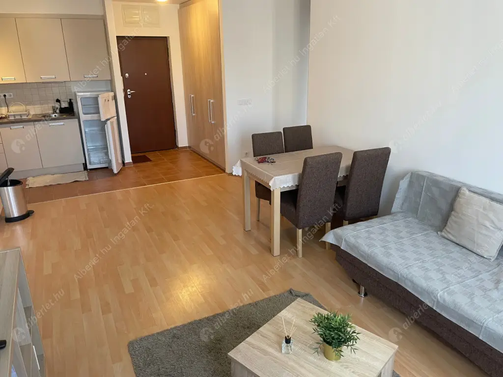 Kiadó albérlet 390000 Ft/hó áron: Budapest, VII. kerület  Garay utca. Mérete: 66 nm, 3 szobás | Alberlet.hu - 6636008