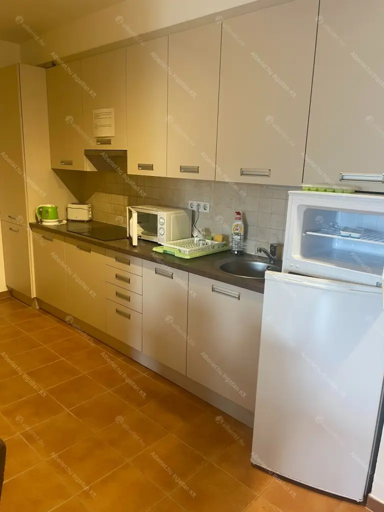 Kiadó albérlet 390000 Ft/hó áron: Budapest, VII. kerület  Garay utca. Mérete: 66 nm, 3 szobás | Alberlet.hu - 6636020