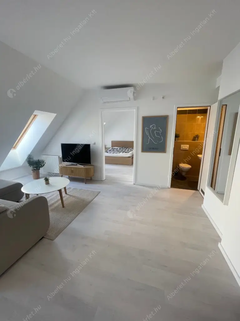 Kiadó albérlet 300000 Ft/hó áron: Budapest, VII. kerület  Holló utca. Mérete: 42 nm, 2 szobás | Alberlet.hu - 6558566