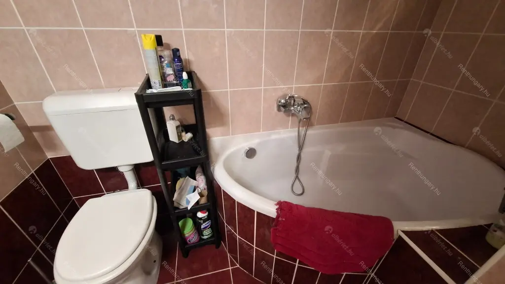 Kiadó albérlet 250000 Ft/hó áron: Budapest, VII. kerület  Holló utca. Mérete: 65 nm, 2 szobás | Alberlet.hu - 6645173