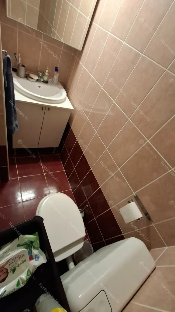 Kiadó albérlet 250000 Ft/hó áron: Budapest, VII. kerület  Holló utca. Mérete: 65 nm, 2 szobás | Alberlet.hu - 6645175