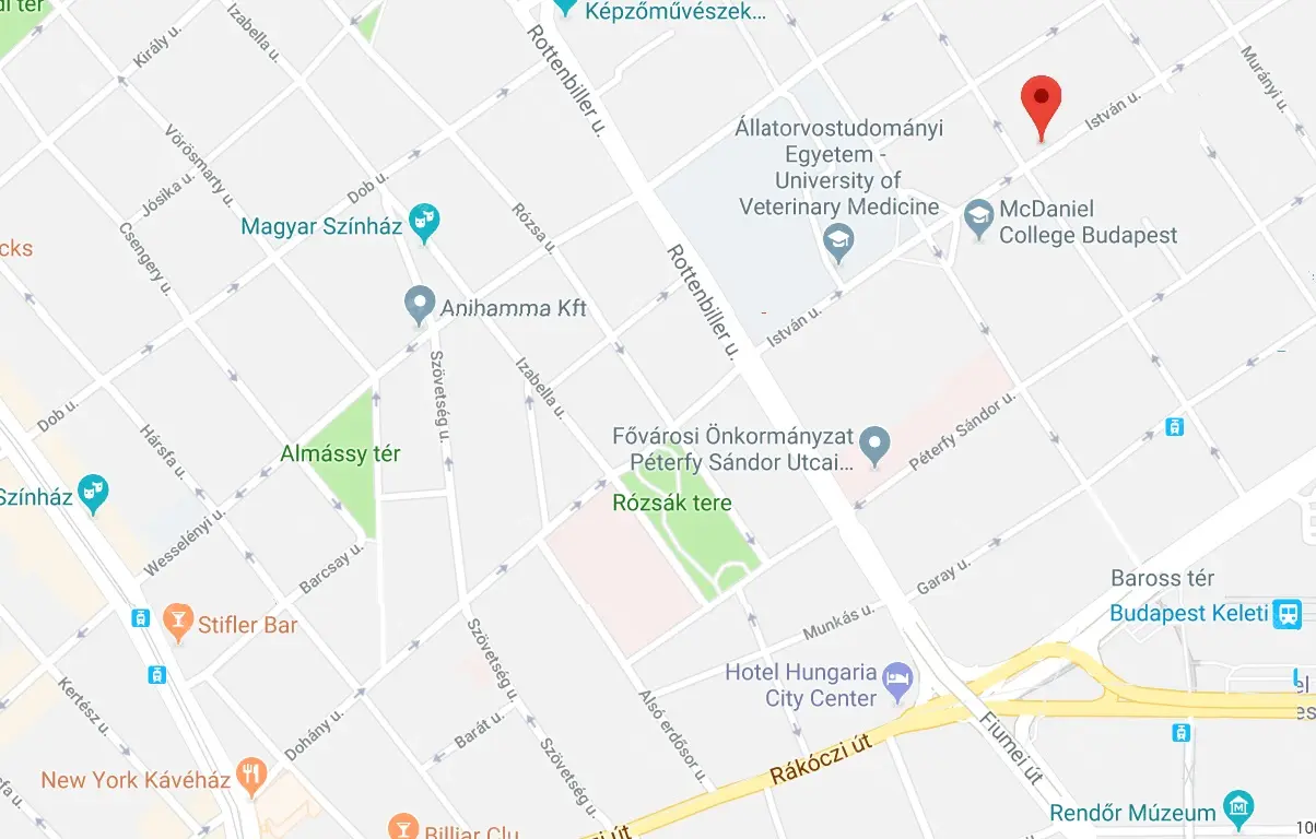 Kiadó albérlet 250000 Ft/hó áron: Budapest, VII. kerület  István út. Mérete: 70 nm, 2 szobás | Alberlet.hu - 4346214