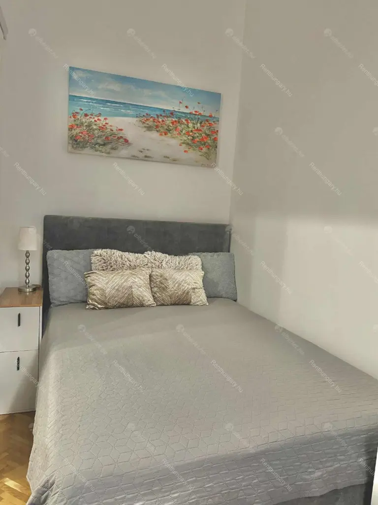 Kiadó albérlet 263000 Ft/hó áron: Budapest, VII. kerület  Izabella utca. Mérete: 40 nm, 1 szobás | Alberlet.hu - 6663366