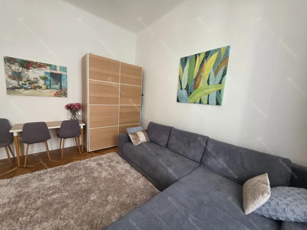 Kiadó albérlet 251000 Ft/hó áron: Budapest, VII. kerület  Izabella utca. Mérete: 46 nm, 1 szobás | Alberlet.hu - 6668043