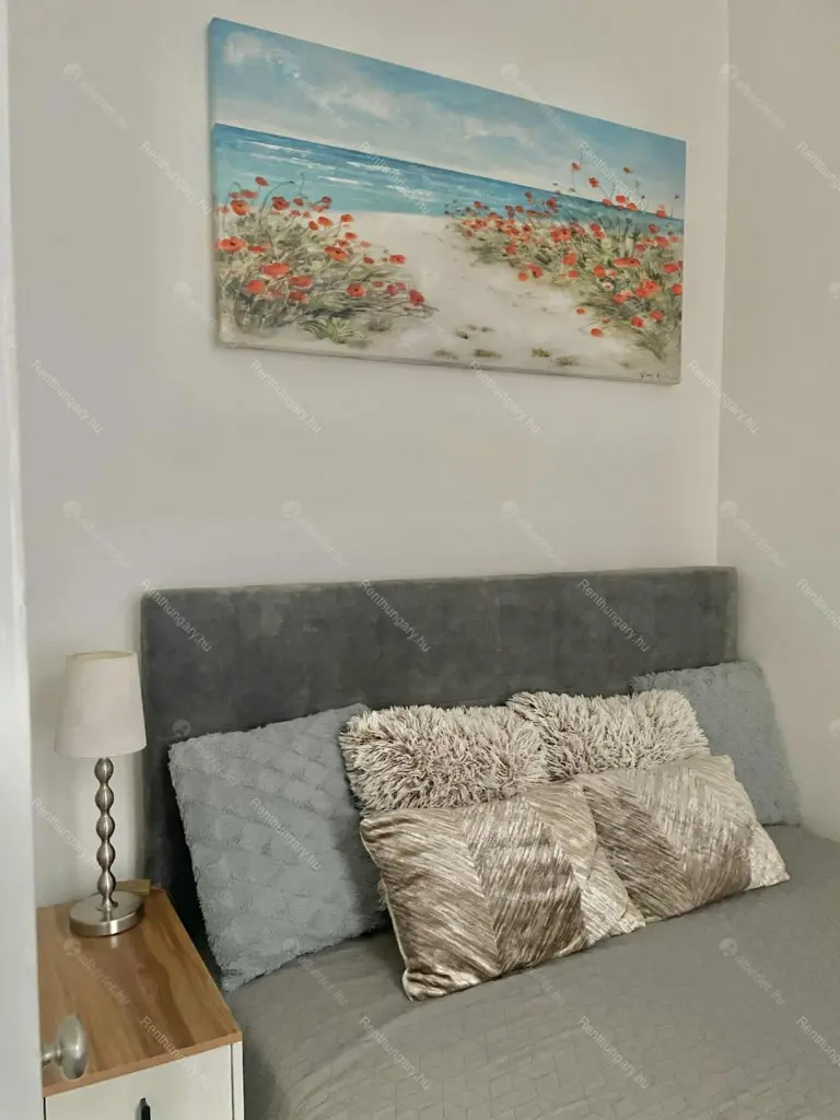 Kiadó albérlet 251000 Ft/hó áron: Budapest, VII. kerület  Izabella utca. Mérete: 46 nm, 1 szobás | Alberlet.hu - 6668051