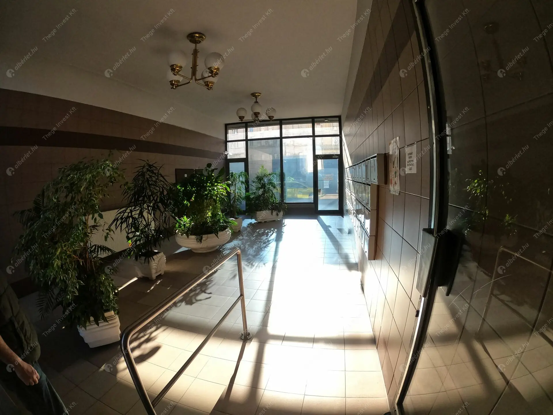 Kiadó albérlet 320000 Ft/hó áron: Budapest, VII. kerület  Károly körút. Mérete: 60 nm, 1 szobás | Alberlet.hu - 6521873