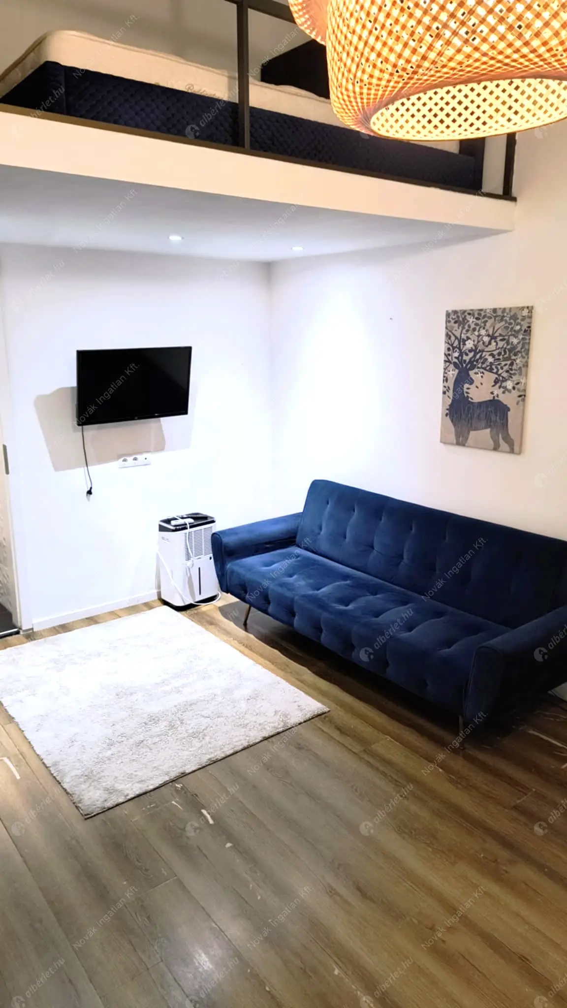 Kiadó albérlet 215000 Ft/hó áron: Budapest, VII. kerület  Lövölde tér. Mérete: 22 nm, 1 szobás | Alberlet.hu - 6575418