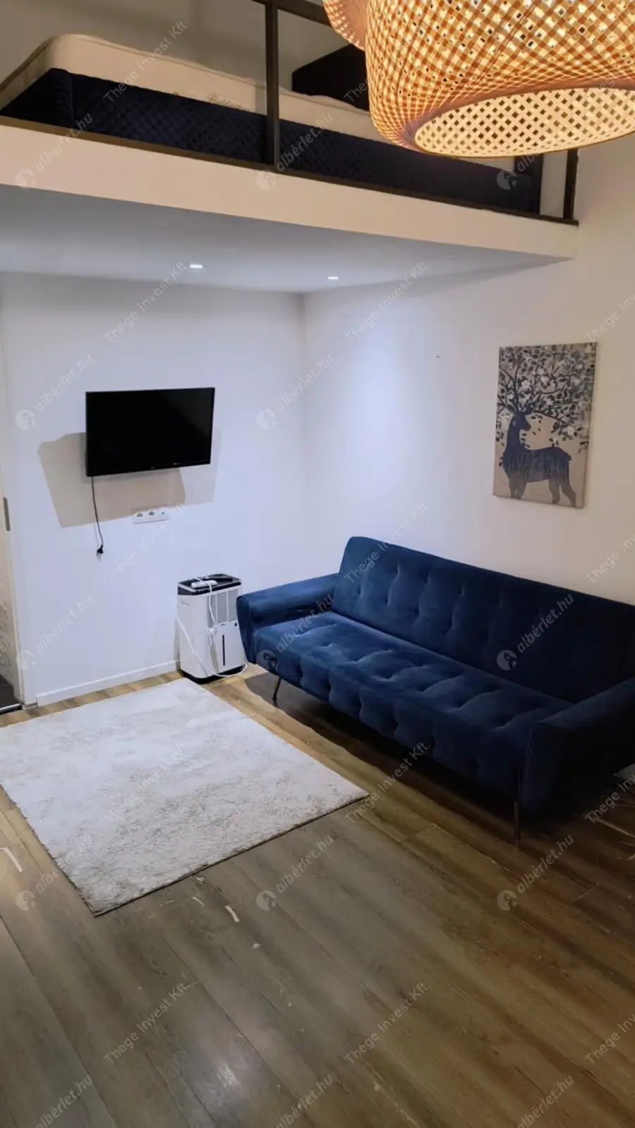 Kiadó albérlet 215000 Ft/hó áron: Budapest, VII. kerület  Lövölde tér. Mérete: 22 nm, 1 szobás | Alberlet.hu - 6579470