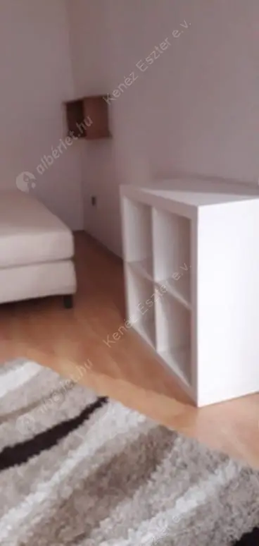 Kiadó albérlet 300000 Ft/hó áron: Budapest, VII. kerület  Péterfy Sándor utca. Mérete: 68 nm, 3 szobás | Alberlet.hu - 6525720