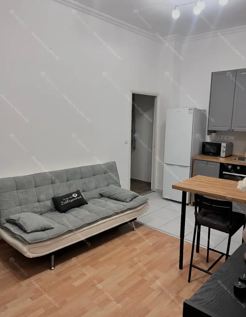 Kiadó albérlet 270000 Ft/hó áron: Budapest, VII. kerület  Rákóczi út. Mérete: 46 nm, 1 szobás | Alberlet.hu - 6694480