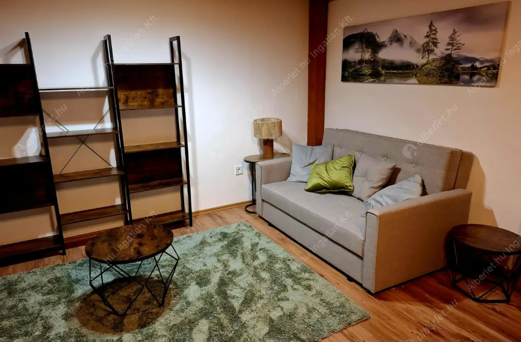 Kiadó albérlet 225000 Ft/hó áron: Budapest, VII. kerület  Síp utca. Mérete: 41 nm, 1 szobás | Alberlet.hu - 6613248