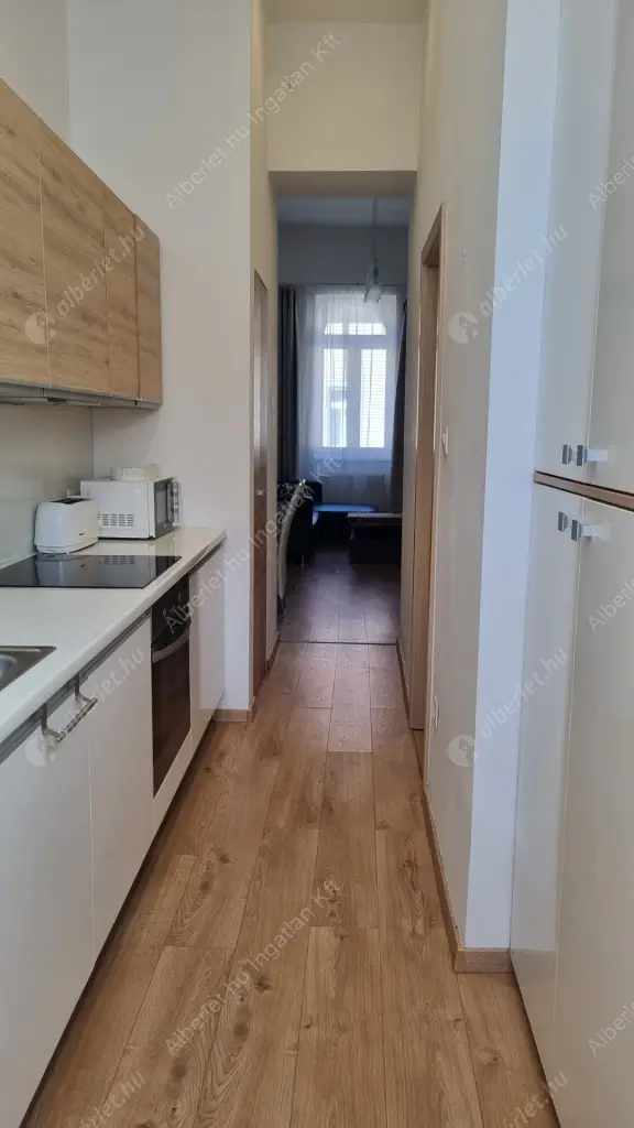 Kiadó albérlet 250000 Ft/hó áron: Budapest, VII. kerület  Wesselényi utca. Mérete: 54 nm, 1 szobás | Alberlet.hu - 6573193