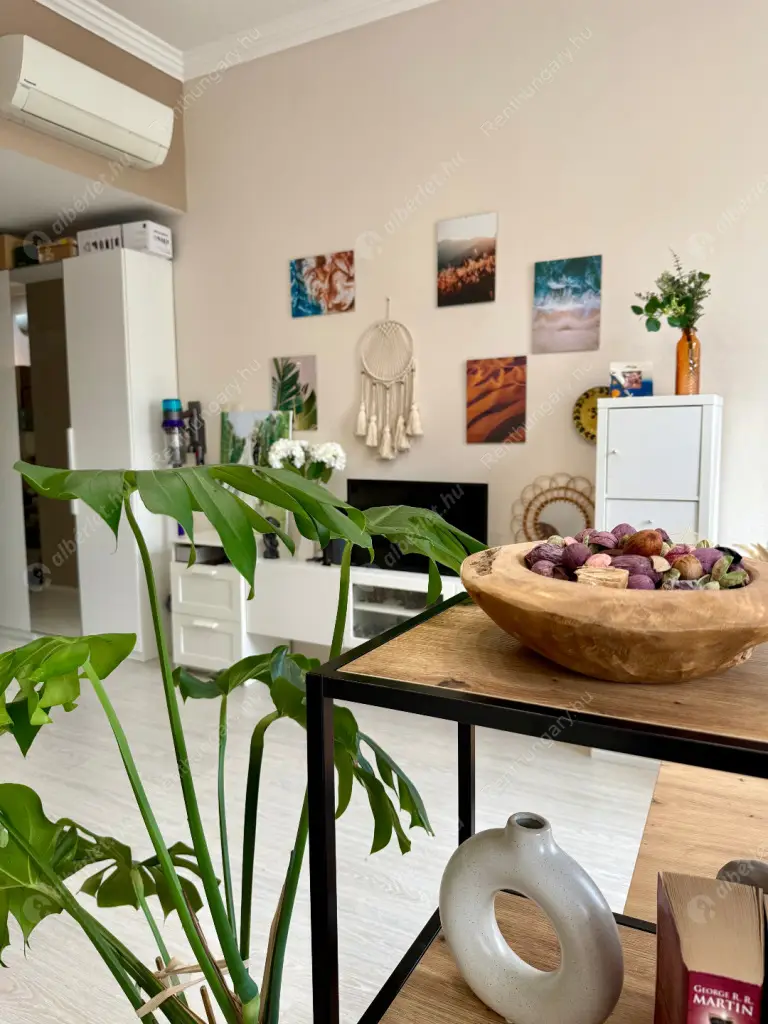 Kiadó albérlet 299000 Ft/hó áron: Budapest, VIII. kerület  Baross tér. Mérete: 57 nm, 1 szobás | Alberlet.hu - 6510289