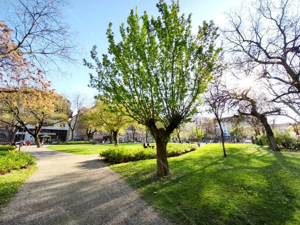 Kiadó albérlet 200000 Ft/hó áron: Budapest, VIII. kerület  Baross utca. Mérete: 25 nm, 1 szobás | Alberlet.hu - 6704775