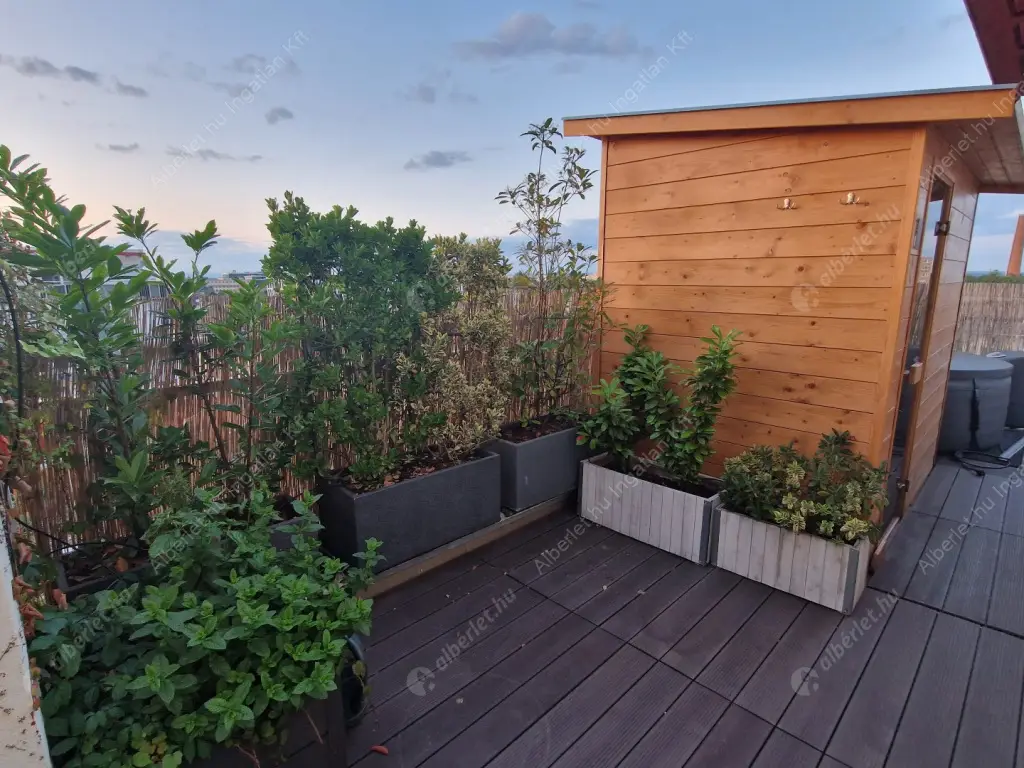 Kiadó albérlet 690000 Ft/hó áron: Budapest, VIII. kerület  Ciprus utca. Mérete: 94 nm, 4 szobás | Alberlet.hu - 6600113