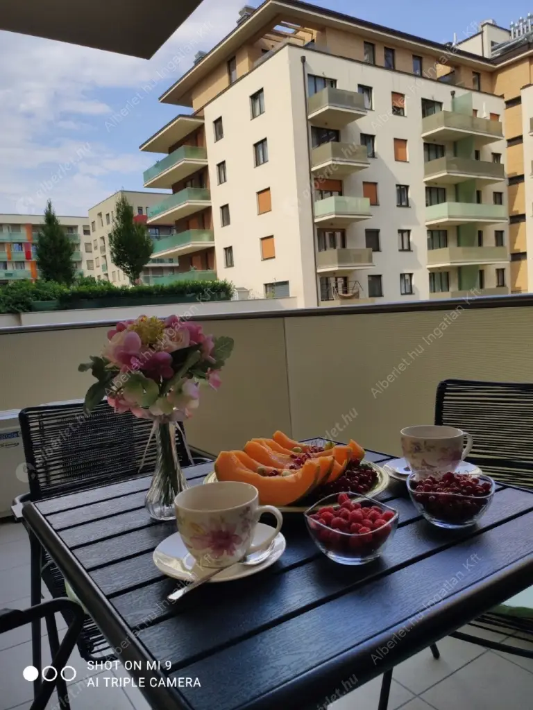 Kiadó albérlet 850000 Ft/hó áron: Budapest, VIII. kerület  Corvin sétány. Mérete: 70 nm, 2 szobás | Alberlet.hu - 6612459