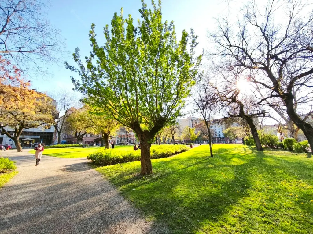 Kiadó albérlet 170000 Ft/hó áron: Budapest, VIII. kerület  Diószegi Sámuel utca. Mérete: 27 nm, 1 szobás | Alberlet.hu - 6694166