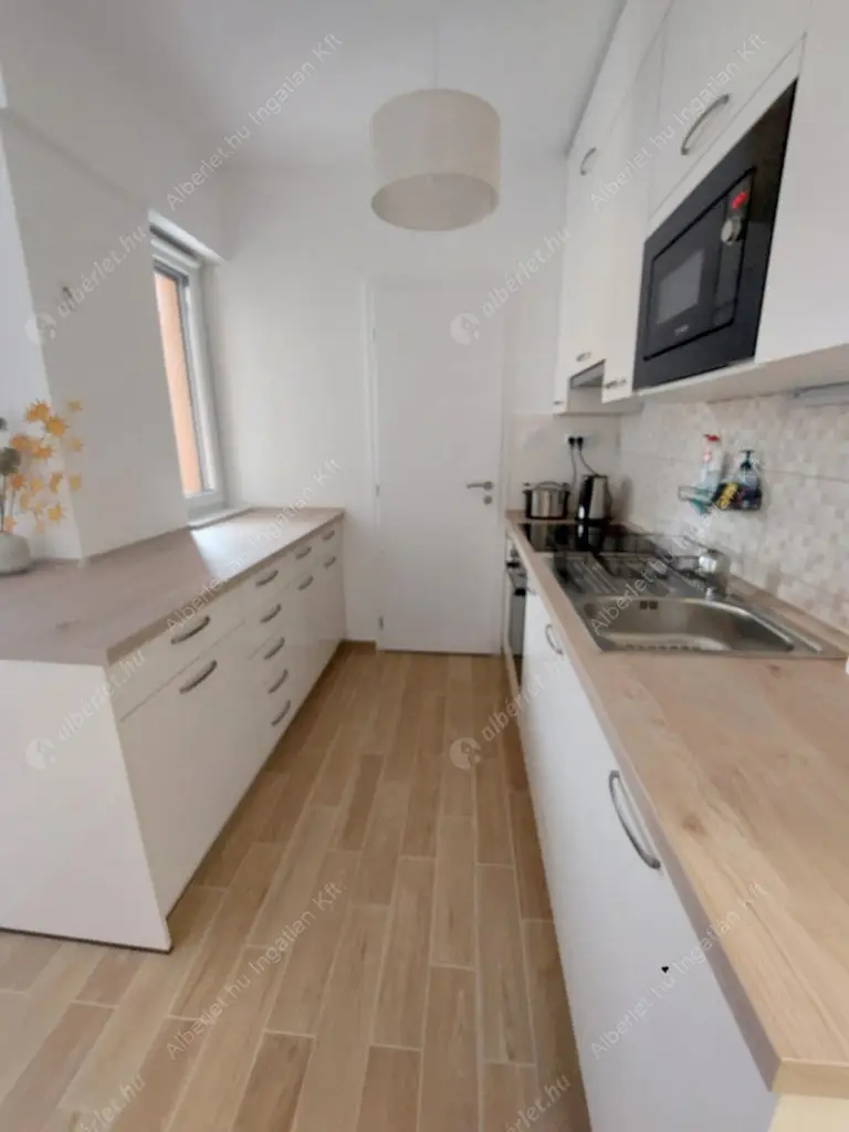 Kiadó albérlet 300000 Ft/hó áron: Budapest, VIII. kerület  Homok utca. Mérete: 47 nm, 2 szobás | Alberlet.hu - 6626012