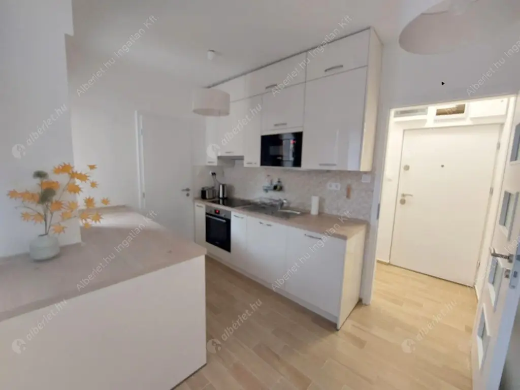 Kiadó albérlet 300000 Ft/hó áron: Budapest, VIII. kerület  Homok utca. Mérete: 47 nm, 2 szobás | Alberlet.hu - 6626019
